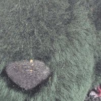 1994 Johnson Creations Green Teddy Bear | Floral Lace Collar | Plush Bear | Collectible Teddy Bear