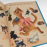 Vintage 1960 My First Book of Riddles - Children's Riddle Book -  Janet and Alex D'Amato - Illustrated Children's Book - Collectible Book