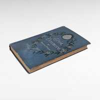 Antique Elsie Dinsmore by Martha Finley, Hardcover Book, Children's Literature, Collectible Book, Vintage Children's Book