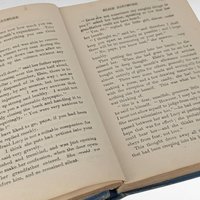 Antique Elsie Dinsmore by Martha Finley, Hardcover Book, Children's Literature, Collectible Book, Vintage Children's Book