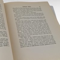 1928 Little Men by Louisa May Alcott, Saalfield Publishing, Vintage Children's Literature, Collectible Book, Gift for Reader