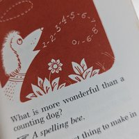 1954 The Little Riddle Book, Illustrated by Henry R. Martin, Vintage Children's Book, Fun Riddles, Gift for Riddle Lovers, Collector's Item