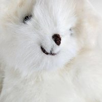Vintage White Teddy Bears, Joan Chesney Jointed Bear, Berkeley Designs Floral Bear, Collectible Plush Toys, Gift for Collector