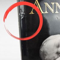 Anne Geddes Book Pair, Down in the Garden, Until Now, Photography Books, Coffee Table Books, Gift for Photography Lover, Collectible Books
