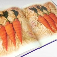 Anne Geddes Book Pair, Down in the Garden, Until Now, Photography Books, Coffee Table Books, Gift for Photography Lover, Collectible Books