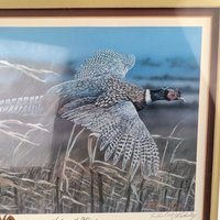 Vintage Set on the Wing Signed & Numbered Framed Pheasant Print 15/750, Randall Raduenz Art, Ring Necked Pheasant, Wildlife Art
