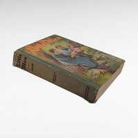 1928 Little Men by Louisa May Alcott, Saalfield Publishing, Vintage Children's Literature, Collectible Book, Gift for Reader