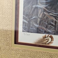 Vintage Set on the Wing Signed & Numbered Framed Pheasant Print 15/750, Randall Raduenz Art, Ring Necked Pheasant, Wildlife Art