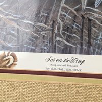 Vintage Set on the Wing Signed & Numbered Framed Pheasant Print 15/750, Randall Raduenz Art, Ring Necked Pheasant, Wildlife Art