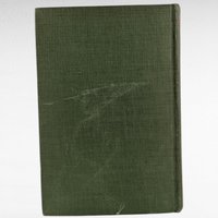 1928 "Meat" Hardcover Book by Wilbur Daniel Steele, Grosset & Dunlap, Collectible Book, Vintage Literature, Literary Gift