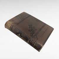 Antique 1878 Under the Lilacs Book by Louisa May Alcott, Vintage Children's Literature, Collectible Classic Novel
