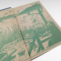Antique 1918 Happy Jack Book by Thornton Burgess, Illustrated, Children's Story, Green Meadow Series