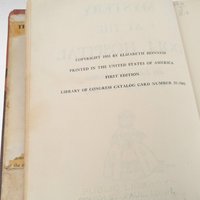 Vintage 1955 Mystery at the Doll Hospital First Edition, Elizabeth Honness, Collectible Children's Mystery