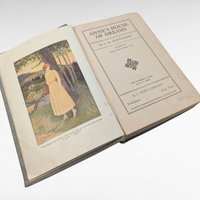 1917 Anne's House of Dreams, L.M. Montgomery, A.L. Burt, Hardcover Book, Classic Literature, Collectible