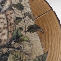 Vintage Handmade Wood Slice Coasters Set of 6, Nature Fairy & Bird Transfer Designs, Rustic Drinkware, Woodland Cabin Decor Gift