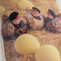 1994 Anne Geddes The Twelve Days of Christmas Hardcover Book, Collectible Baby Photography, Holiday Picture Book, Nursery Decor Gift