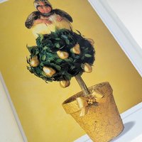1994 Anne Geddes The Twelve Days of Christmas Hardcover Book, Collectible Baby Photography, Holiday Picture Book, Nursery Decor Gift
