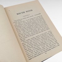 1925 Modern Library South Wind, Norman Douglas, Hardcover, Classic Literature, Gift for Bookworm