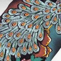 Vintage Japanese Scroll Mount Fuji Peacock Velvet Handpainted Wall Art