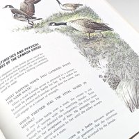 Vintage 1983 Character Sketches from Scripture Book Vol 1, 1983 Rand McNally Hardcover with Slipcase, Christian Homeschooling Resource