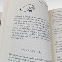 1995 Pooh and the Philosophers, John Tyerman Williams, Hardcover Book, Winnie The Pooh Philosophy