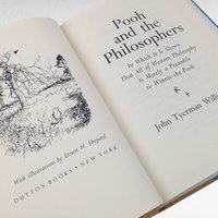 1995 Pooh and the Philosophers, John Tyerman Williams, Hardcover Book, Winnie The Pooh Philosophy