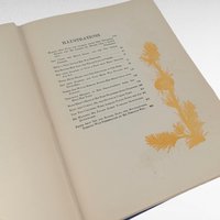 Antique 1919 Heidi Book by Johanna Spyri, Lippincott Edition with Maria L Kirk Illustrations, Vintage Blue Hardcover Childrens Classic
