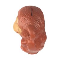 Vintage Wing Inc. Plastic Monkey Bank | Nostalgic Coin Savings | Retro Toy Gift | 10.5 Inches