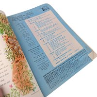 1964 Jack and Jill Magazines, January & November Issues, Vintage Children's Magazine, Collectible Kids Literature