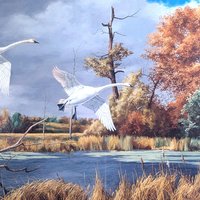 David A. Maass "Autumn at Baker - Trumpeter Swans" Framed Print, Signed Wildlife Art, Vintage Bird Decor, Swan Landscape Painting