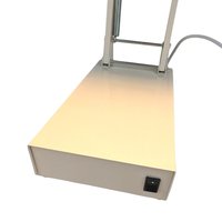 Northern Light Technologies Sadelite, Light Therapy Lamp, Adjustable Bright Light, Desk Lamp, Vintage Light, Functional Lighting