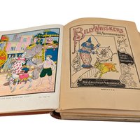 1902 Billy Whiskers Autobiography of a Goat, Frances Trego Montgomery, Antique Children's Book, Antique Animal Story, Fair Condition