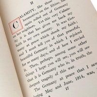 1915 The Pentecost of Calamity, Owen Wister Hardcover, Antique Book, Vintage Americana Gift