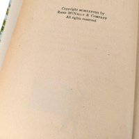 Vintage Tom Sawyer Book, Samuel Clemens Abridged Edition, Classic Children's Literature, Gift for Book Lovers