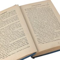 Antique Elsie Dinsmore Hardcover: Children's Literature Collectible