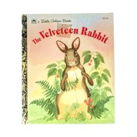 Vintage Little Golden Book Lot, Pokey Little Puppy, Velveteen Rabbit, Big Bird, Heidi, Children's Books, Collectible Books