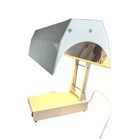 Northern Light Technologies Sadelite, Light Therapy Lamp, Adjustable Bright Light, Desk Lamp, Vintage Light, Functional Lighting