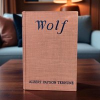 Antique 1925 'Wolf' by Albert Payson Terhune: Hardcover Collie Dog Story Book