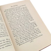 Antique 1925 'Wolf' by Albert Payson Terhune: Hardcover Collie Dog Story Book