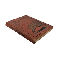 1902 Billy Whiskers Autobiography of a Goat, Frances Trego Montgomery, Antique Children's Book, Antique Animal Story, Fair Condition