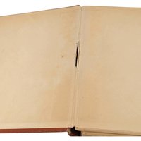 1902 Billy Whiskers Autobiography of a Goat, Frances Trego Montgomery, Antique Children's Book, Antique Animal Story, Fair Condition