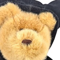 Vintage Halloween Bear Pair: Fiesta Vampire Bear & GAC Black Cat Teddy, Collectible Halloween Plush, Halloween Decor, Halloween Collector