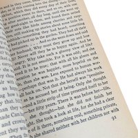 Vintage To the Lighthouse by Virginia Woolf, Softcover, Classic Literature, Bloomsbury Group, Literary Gift
