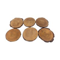 Vintage Wood Slice Coasters (Set of 6): Nature Fairy & Bird Designs