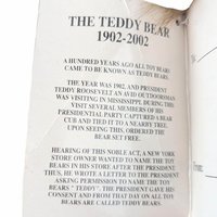 Vintage 2002 Talking Teddy Bear Plush: Dandee 100th Anniversary Collector's Edition