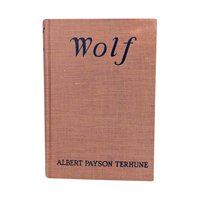 Antique 1925 'Wolf' by Albert Payson Terhune: Hardcover Collie Dog Story Book