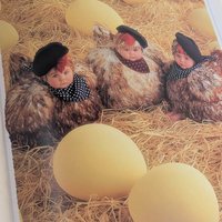 Anne Geddes 'The Twelve Days of Christmas' Book: Collectible Baby Photography