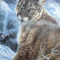 Vintage Large Jack Crandall The Night Shift Signed and Numbered Print, Framed Cougar Art, Limited Edition Wildlife Art, Mountain Lion Wall