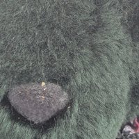 Vintage 1994 Green Teddy Bear: Floral Lace Collar, Collectible Plush