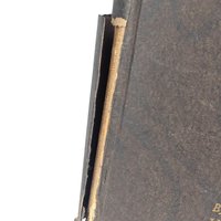 1923 Book of Good Manners: Roaring 20s Etiquette, Dark Academia Decor